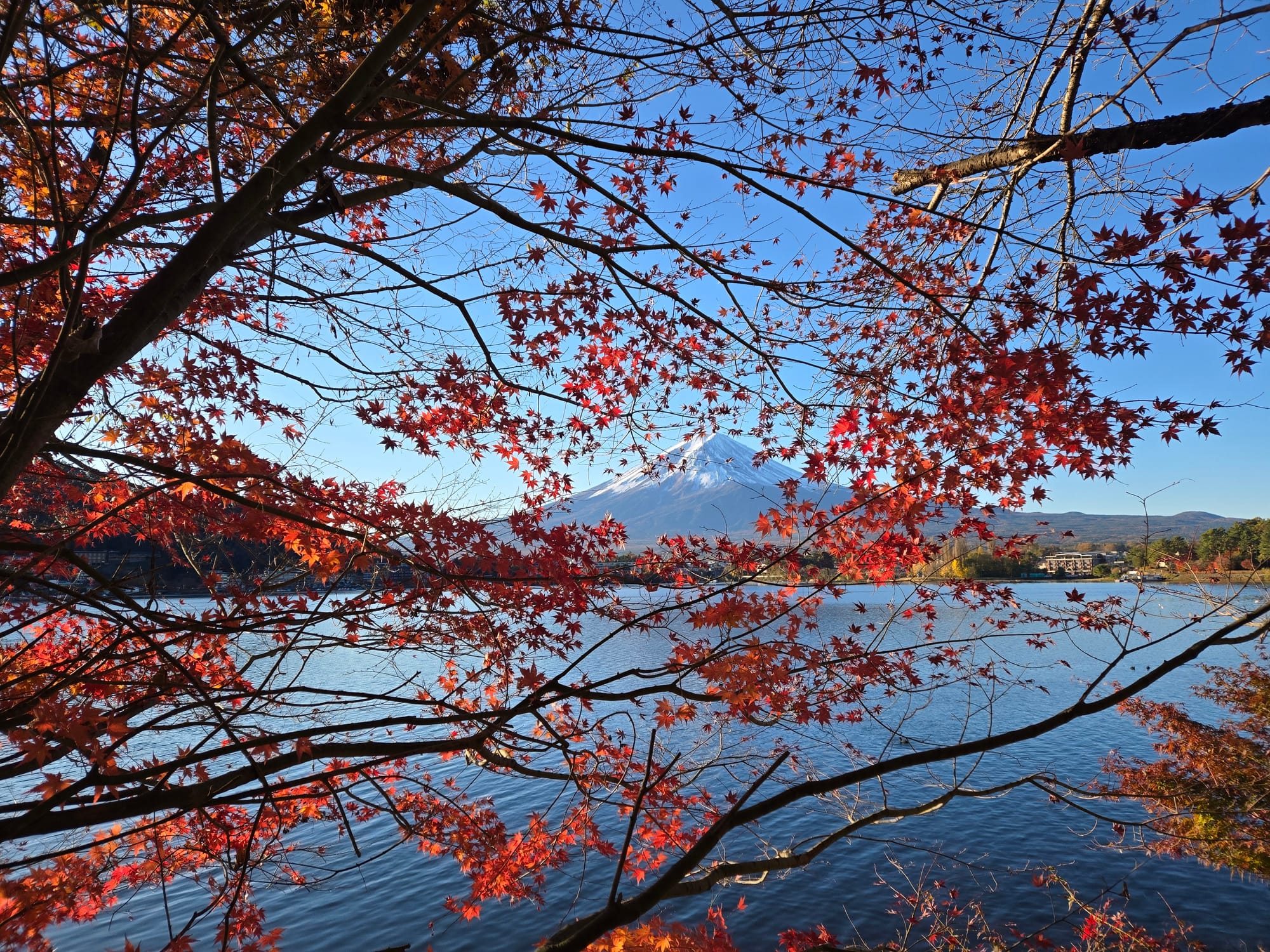 [รีวิวงานวิ่ง] Mt.fuji international marathon 2024 ระยะ 17k - Part 1